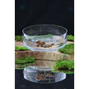   Art Crystal Glass Decorative Amber & Tin Fruit Bowl