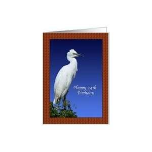  24th Birthday Card with Immature Cattle Egret Card Toys & Games