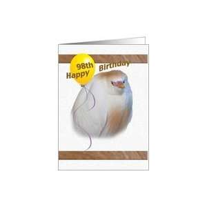  98th Birthday Card with Cattle Egret Card Toys & Games