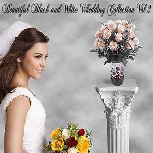   Photography Backdrops Green Screen BLACK AND WHITE WEDDING 2  