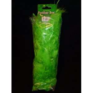  St. Patricks Day Green Feather Costume Boa Toys & Games