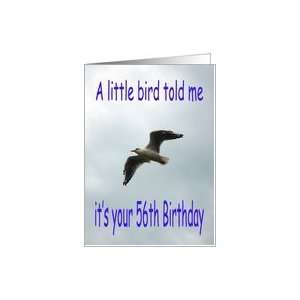  Happy 56th Birthday Flying Seagull bird Card Toys & Games
