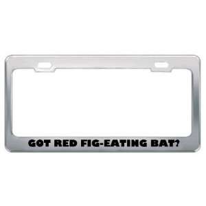 Got Red Fig Eating Bat? Animals Pets Metal License Plate Frame Holder 