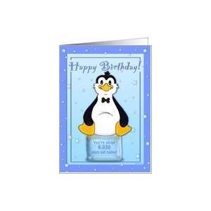   22nd Birthday   Penguin on Ice Cool Birthday Facts Card Toys & Games