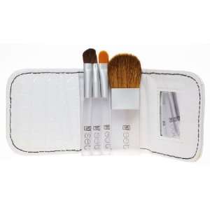  NP Set Passport Brush Set, 2.3 ounce Beauty