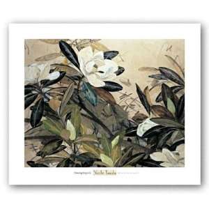  Flowering Magnolia Poster Print