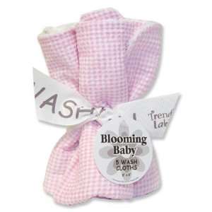 Blooming Bouquet Wash Cloth  5 Pack Set Pink Gingham Seersucker; 8 X 