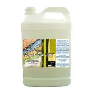  Dafna Detail It Carpet & Fabric Cleaner Concentrate 