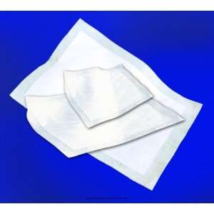   Absorbent Sheets, Tranquility Abs Sheet 20X22 Ns, (1 PACK, 10 EACH