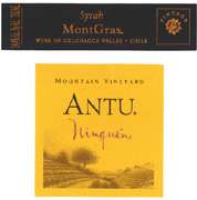 MontGras Antu Ninquen Syrah 2004 