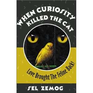 When Curiosity Killed the Cat Love Brought the Feline 