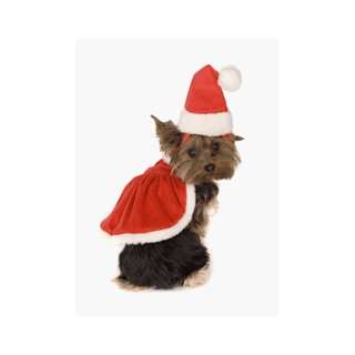  Mrs. Santa Paws Suit