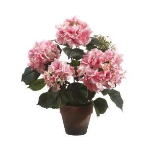  20 Hydrangea in Paper Mache Pot Two Tone Pink (Pack of 4 