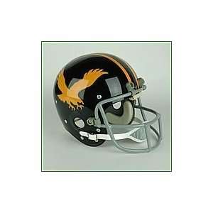    1973 Iowa Hawkeyes Authentic Replica Throwback NCAA Football Helmet