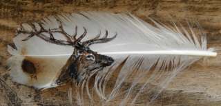 Hand Painted Elk on Turkey Feather, Framed  