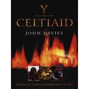    Y Celtiaid (Welsh Edition) (9780852843055) John Davies Books