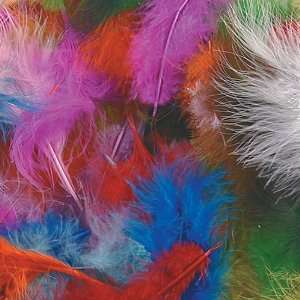  Craft Feathers Toys & Games