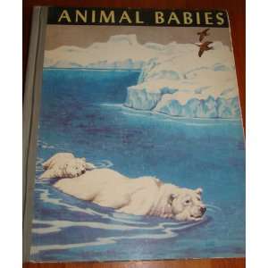    ANIMAL BABIES Margaret Jean Bauer, Jacob Bates Abbott Books