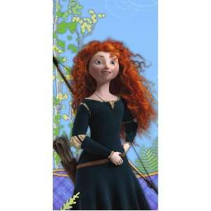  Disney Brave Plastic Tablecover Party Supplies Toys 