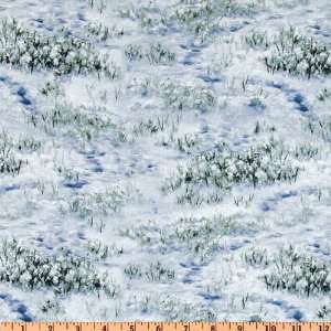  44 Wide Winter Enchantment Winter Ice Blue Fabric By The 