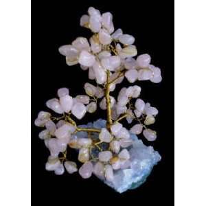 Stunning Brazilian Rose quartz Gem Tree in a solid piece of Amethyst 