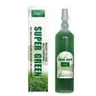 bottle super green green lucky bamboo plant food returns