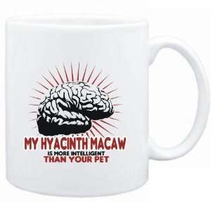 Mug White  My Hyacinth Macaw is more intelligent than your pet 
