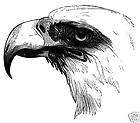 Bald eagle rubber stamp NEW 2x2.25 UN mounted