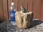 fossil whale vertebrae and megalodon shark tooth composition 5 lb
