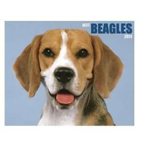  Just Beagles 2011 Wall Calendar By Willow Creek Press [Size 
