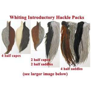 Fly Tying Material   Introductory Hackle Pack   4 half capes  