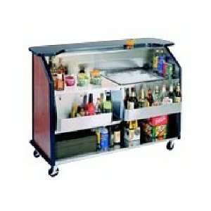   Portable Bar with  2 speed rail and  1 ice bin