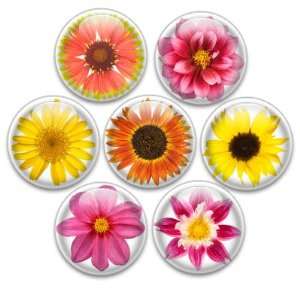  Decorative Push Pins or Magnets 7 Small Flowers Kitchen 