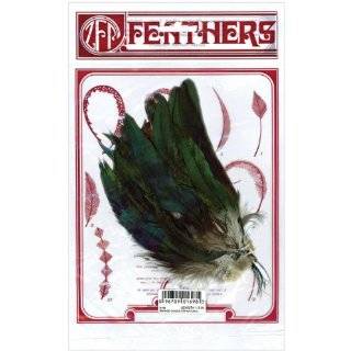 Ringneck Pheasant Feathers 4/Pkg, Natural