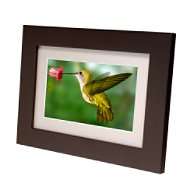 Digital Picture Frames from top brands  