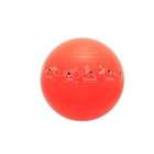   Strength, Red, 55cm   Illustrated Stability Ball (w/Perfect Form DVD