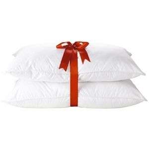 Preferred Comfort Feather/Down Standard Pillow  