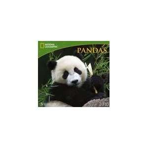  Pandas National Geographic 2010 Wall Calendar 13 X 12 
