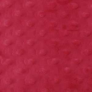  Minky Dot Fabric   Red Arts, Crafts & Sewing