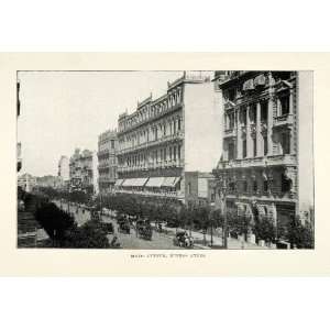 1901 Halftone Print Argentina Mayo Avenue Avenida de Mayo Buenos Aires 