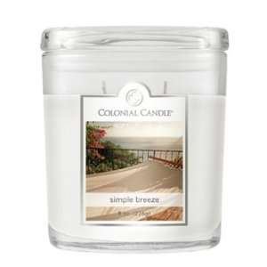  Pack of 4 Colonial Candle Southern Magnolia Scented Pillar 