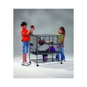  Ferret Nation  Single Unit with Stand