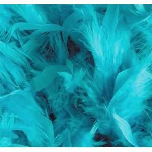  Just For Fun Turquoise Feather Boa (2M) Toys & Games