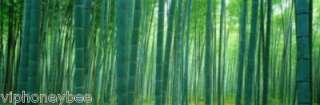Bamboo 3 Tier Shoe Rack  