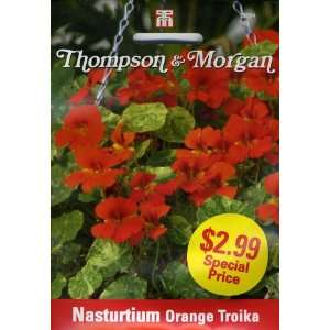  Thompson & Morgan 9094 Nasturtium Orange Troika Seed 