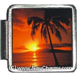   Palm Tree Sunset Italian Charm Bracelet Jewelry Link A10350 Jewelry