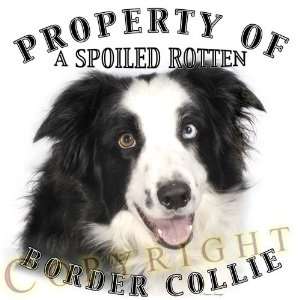  Border Collie dog breed THROW PILLOW 16 x 16
