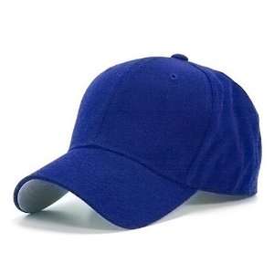  PRO STYLE WOOL BLEND ROYAL HAT CAP HATS 