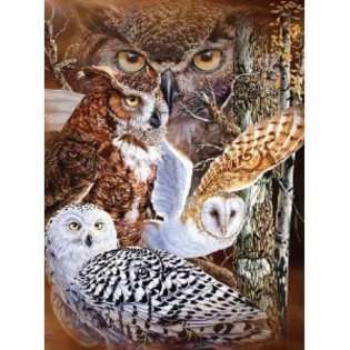 Signature 11 Owls Super Soft Plush Queen Size Blanket by Gardner at 