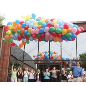 Balloon Release or Drop Net, Holds 500 9 or 250 11 